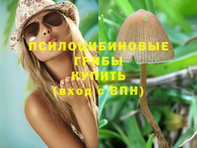 Галлюциногенные грибы MAGIC MUSHROOMS  даркнет сайт  Кушва 